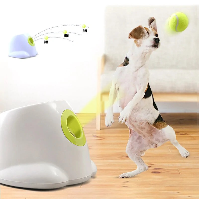 Tennis Ball Launcher - ZenZone Home