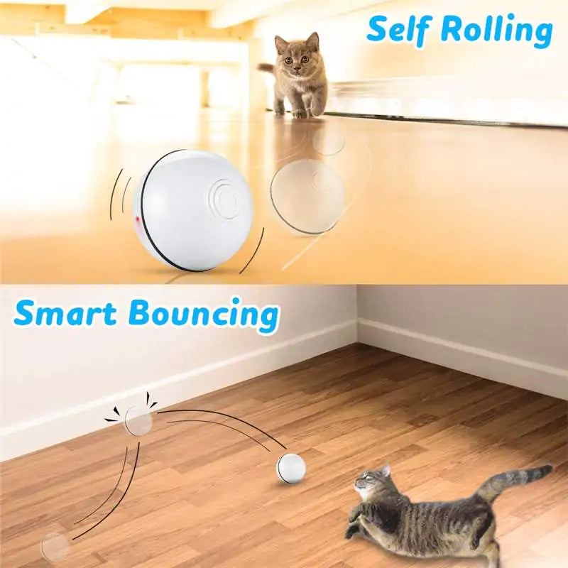 Smart Interactive Pet Ball - ZenZone Home