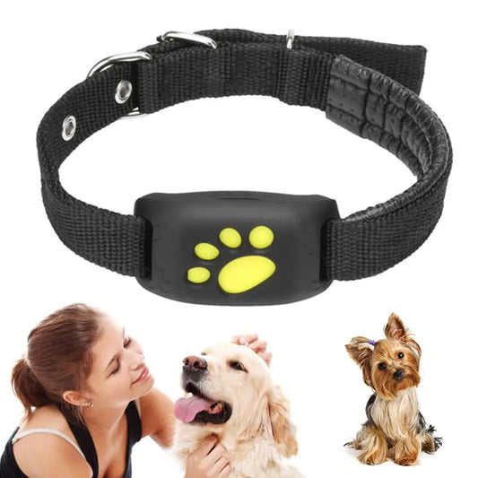 Pet GPS Tracker Collar - ZenZone Home